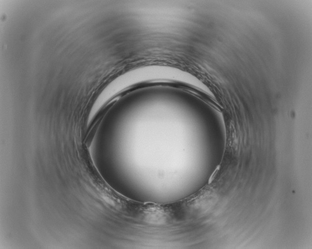 X0000089430562200706291317