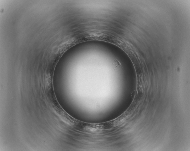 X0000089430563200706291317