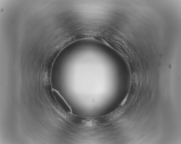 X0000089430564200706291317