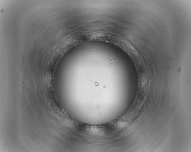 X0000089430565200706291317