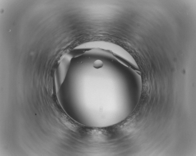 X0000089430566200706291317