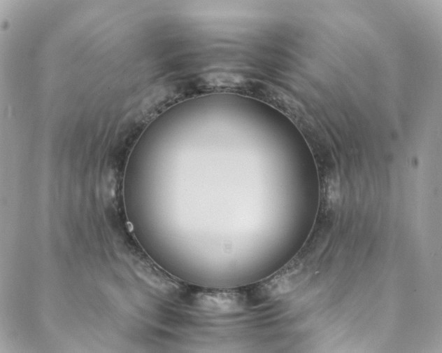 X0000089430567200706291317