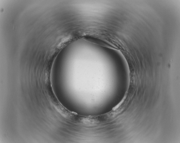 X0000089430568200706291317