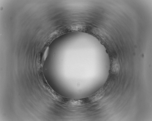 X0000089430569200706291317