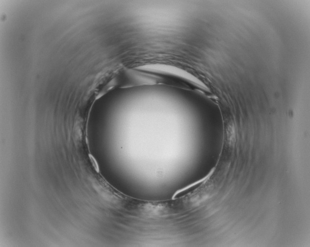 X0000089430570200706291317