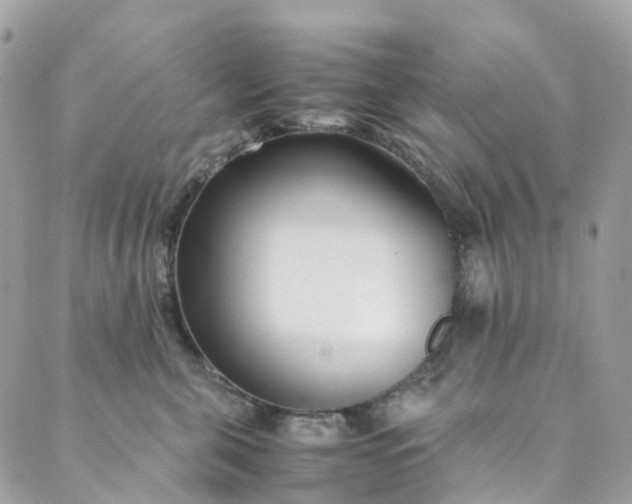 X0000089430571200706291317