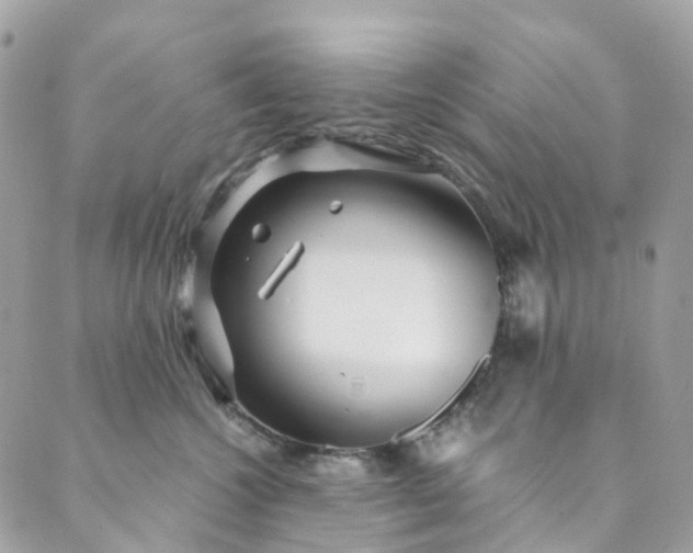 X0000089430572200706291317