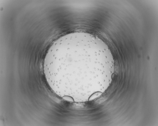 X0000089430573200706291317