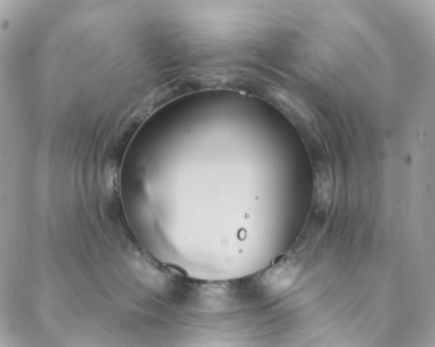 X0000089430574200706291317