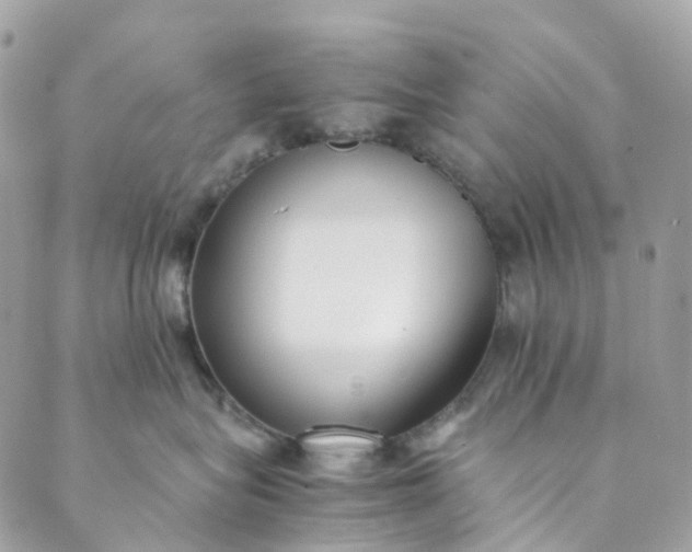 X0000089430575200706291317