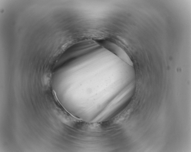 X0000089430576200706291317