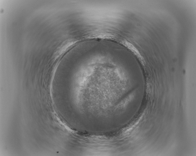 X0000089430577200706291316