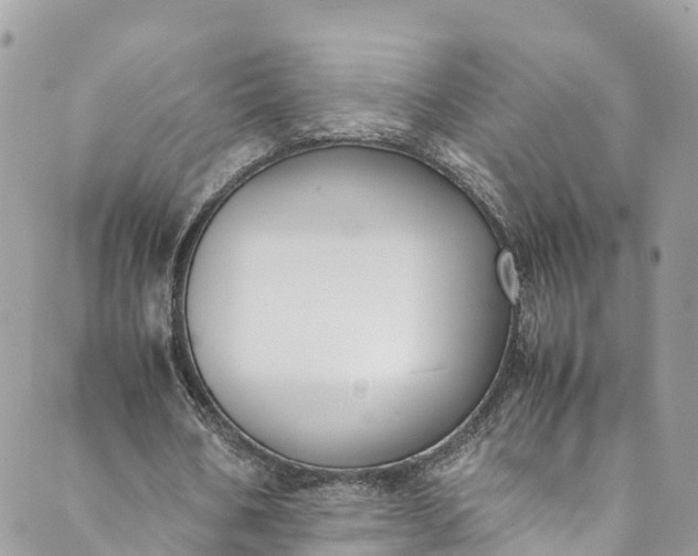 X0000089430578200706291316