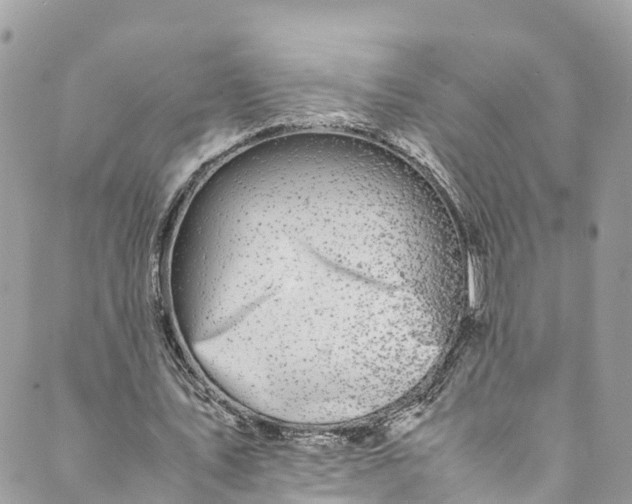 X0000089430579200706291316