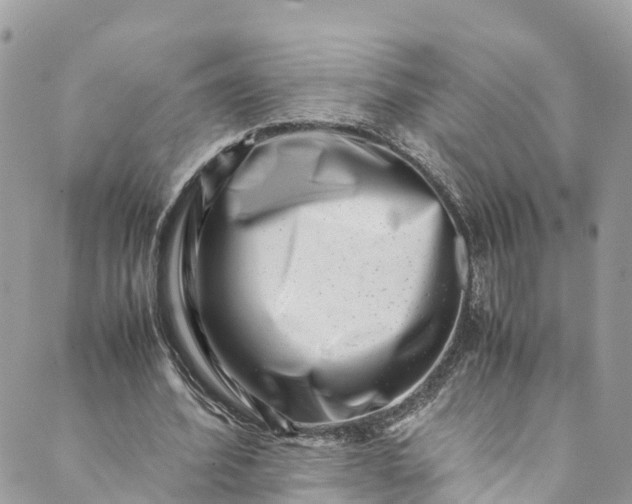 X0000089430580200706291316