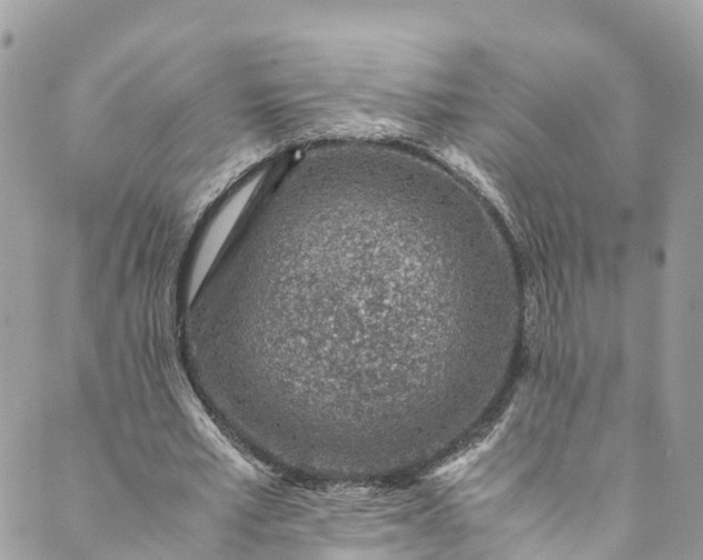 X0000089430581200706291316