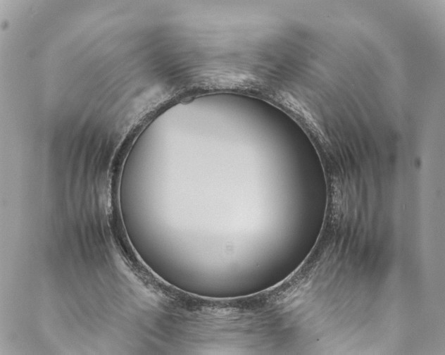 X0000089430582200706291316