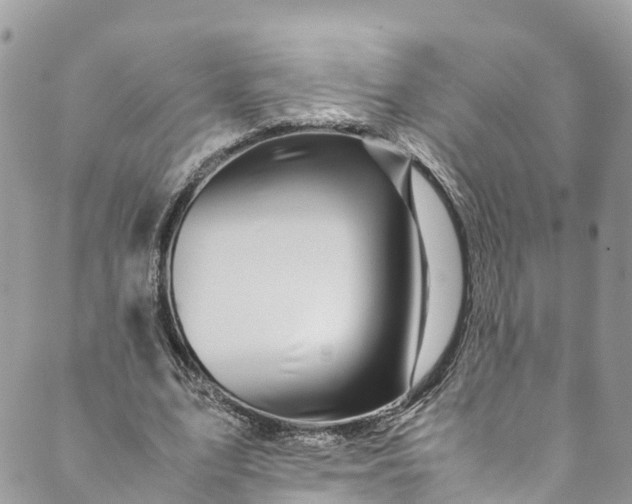 X0000089430583200706291316