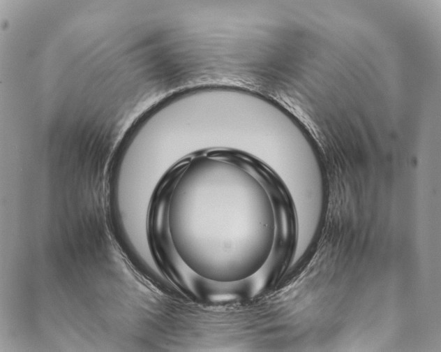 X0000089430584200706291316