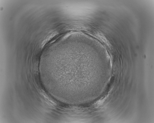 X0000089430585200706291316