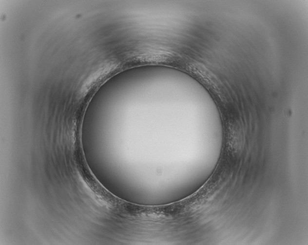 X0000089430586200706291316