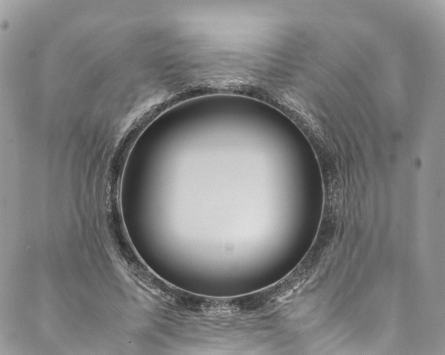 X0000089430587200706291316