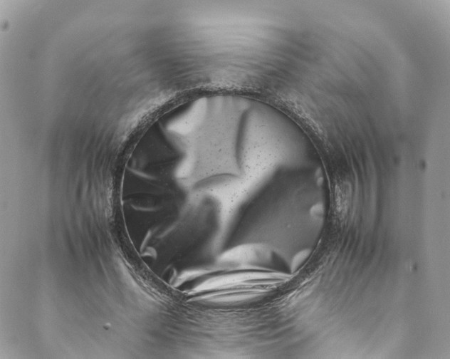 X0000089430588200706291316