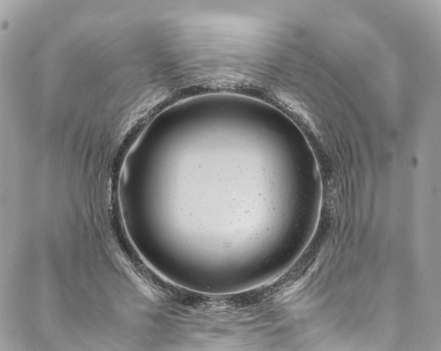 X0000089430589200706291316