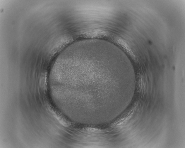 X0000089430590200706291316