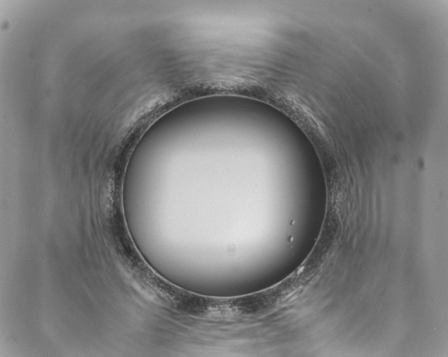 X0000089430591200706291316