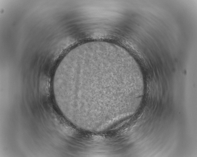 X0000089430592200706291316