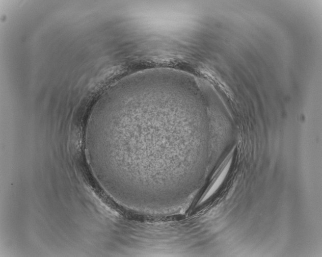 X0000089430593200706291316