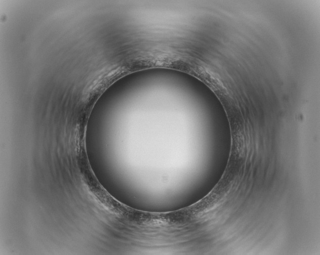 X0000089430594200706291316