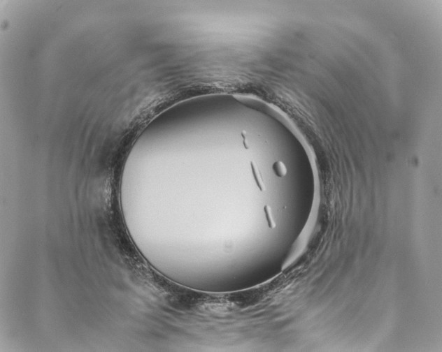 X0000089430595200706291316