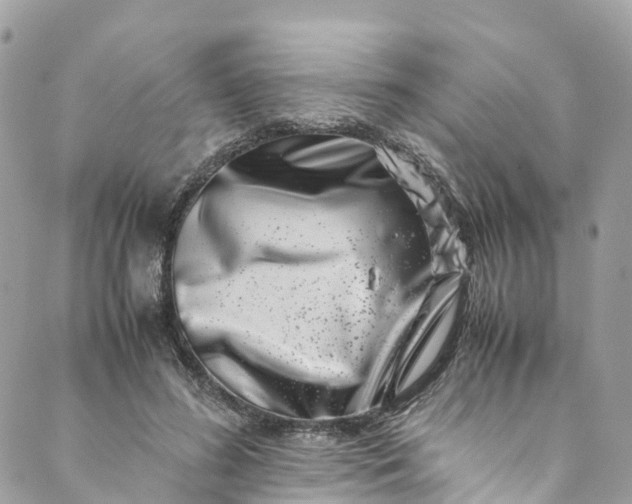 X0000089430596200706291316