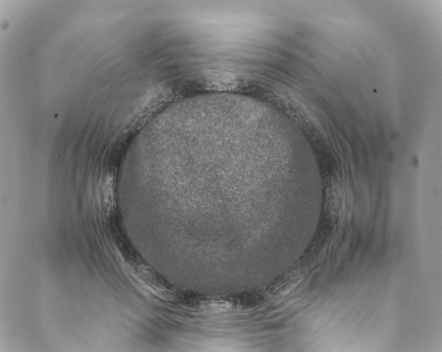 X0000089430598200706291316