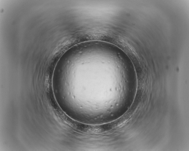 X0000089430599200706291316