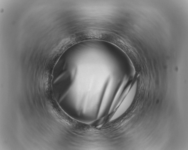 X0000089430600200706291316