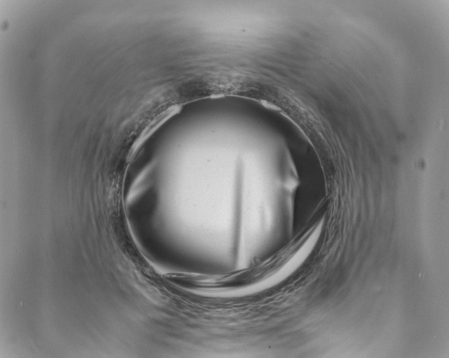 X0000089430601200706291316