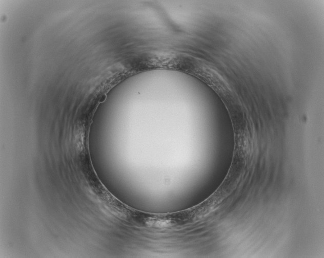 X0000089430602200706291316