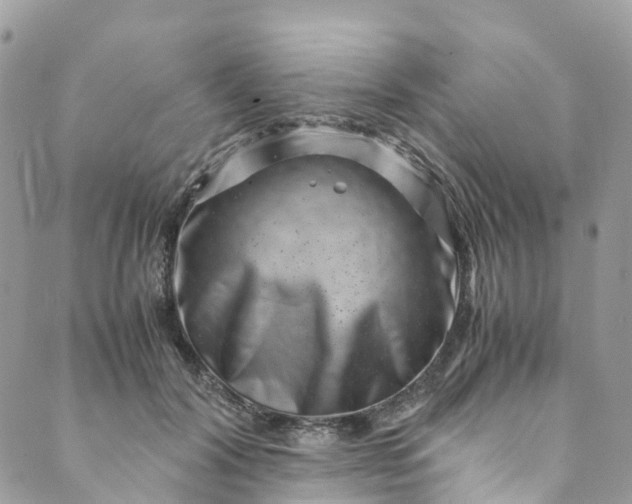 X0000089430604200706291316