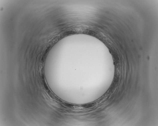 X0000089430605200706291316