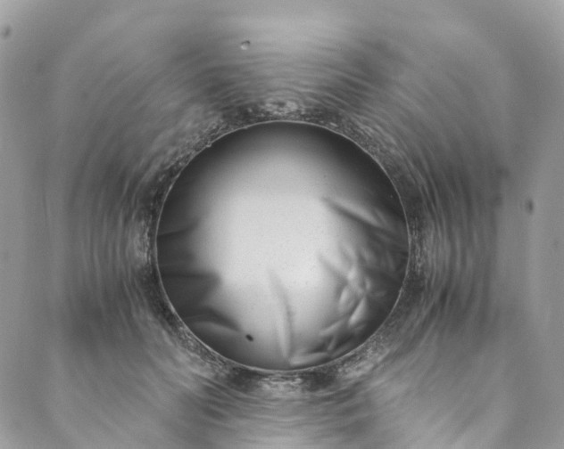 X0000089430606200706291316