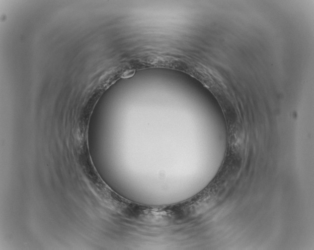 X0000089430607200706291316