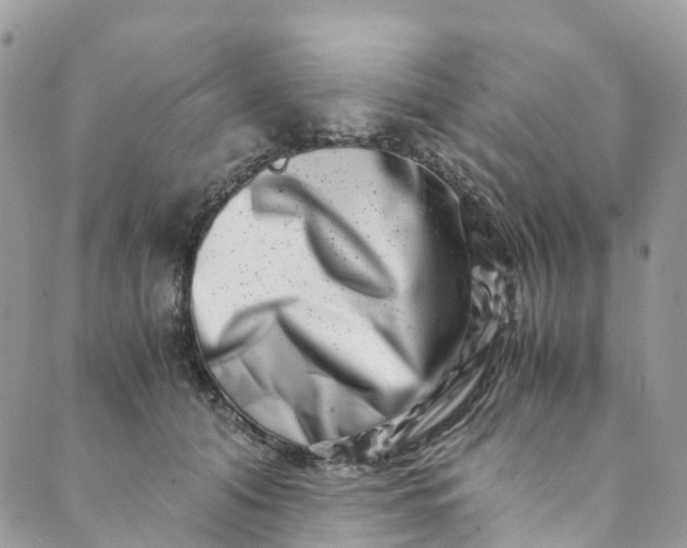 X0000089430608200706291316