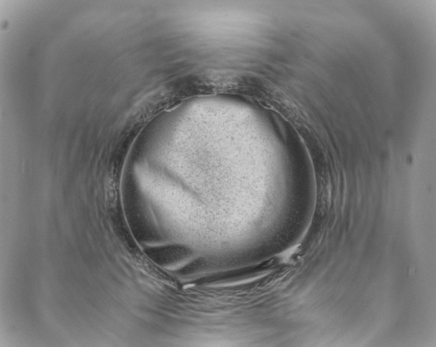 X0000089430609200706291316