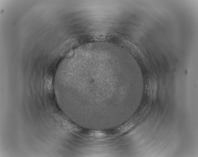 X0000089430610200706291316