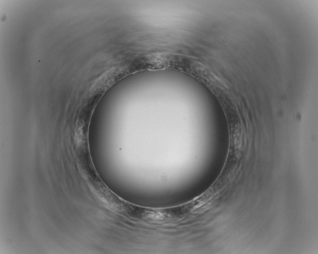 X0000089430611200706291316