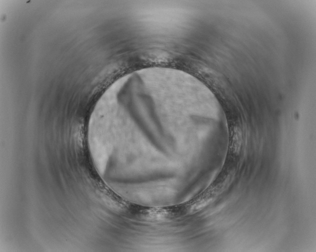 X0000089430612200706291316