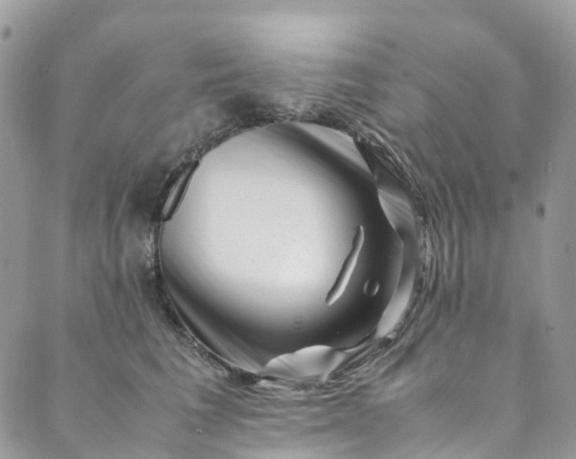 X0000089430613200706291316